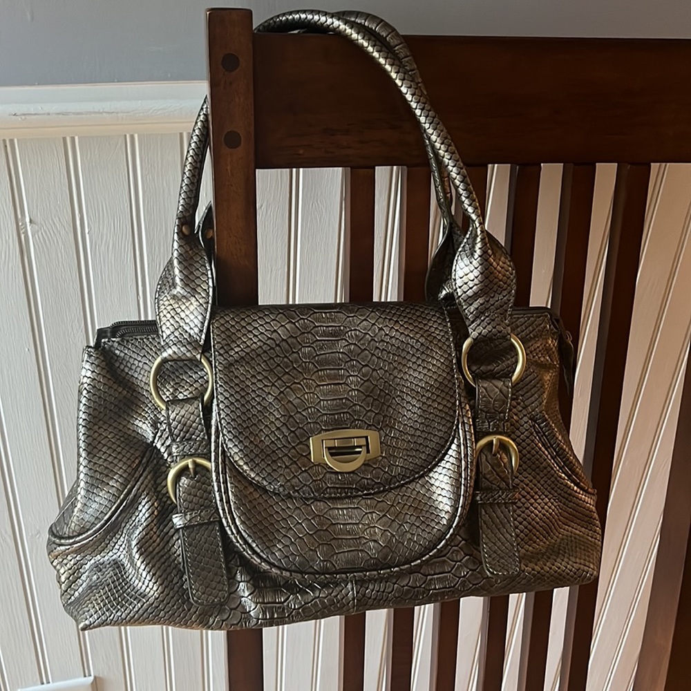 Charlie Lipson Hunter Green Snake Skin Purse with brushed brass embellishments.